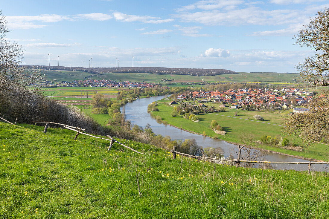  Spring on the Mainschleife, Fahr am Main, Volkach, Kitzingen, Lower Franconia, Franconia, Bavaria, Germany, Europe 