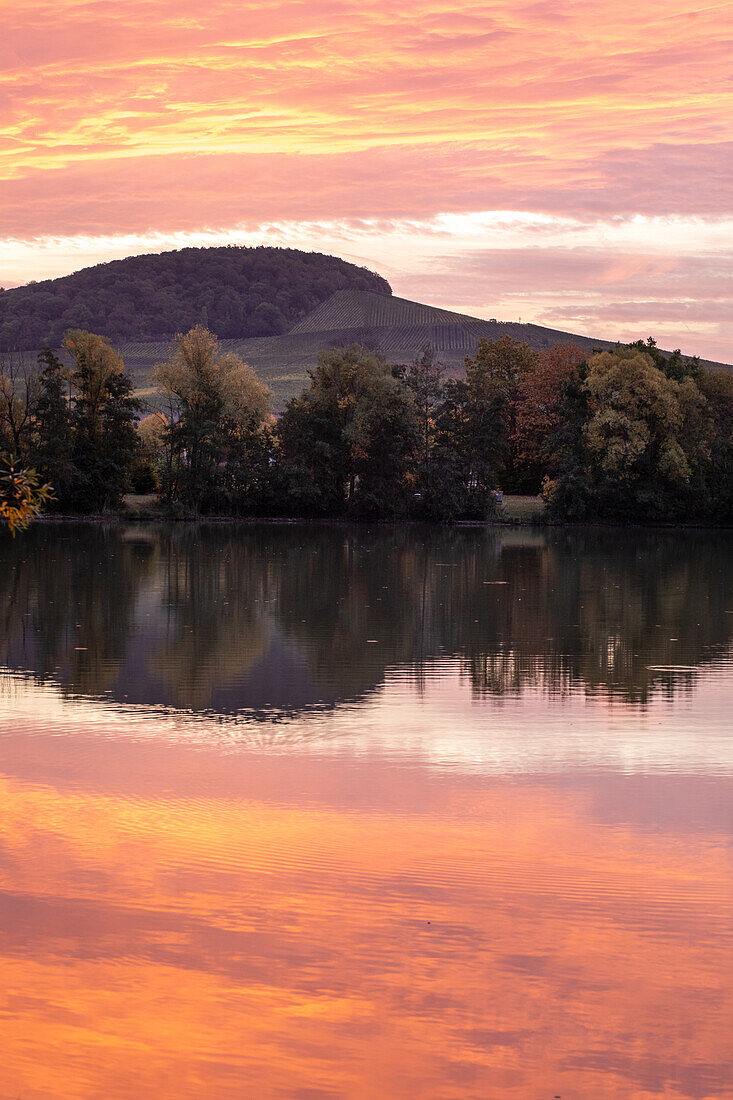 Morgens am Stadtsee, Kitzingen, Unterfranken, Franken, Bayern, Deutschland, Europa