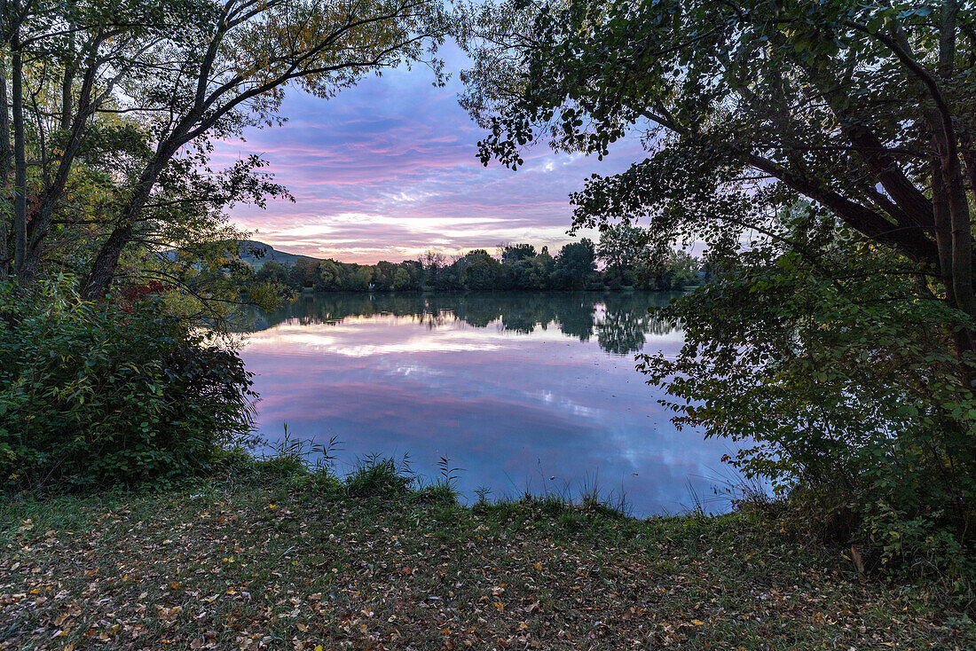  Morning at the city lake, Kitzingen, Lower Franconia, Franconia, Bavaria, Germany, Europe 