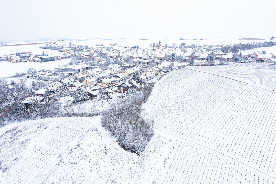  Winter at Altmain, Neuses am Berg, Dettelbach, Kitzingen, Lower Franconia, Franconia, Bavaria, Germany, Europe 