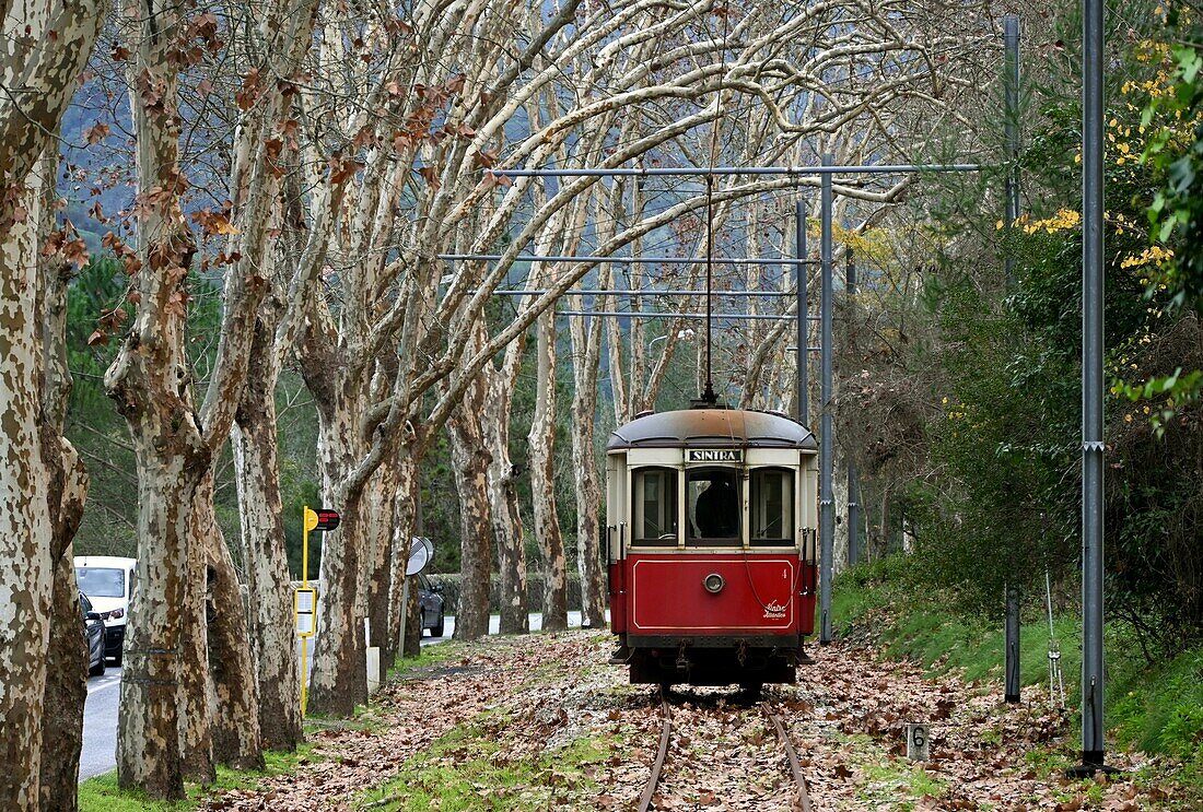 Historische Strassenbahn unter Sintra, Umgebung von Lissabon, Region Lissabon, Portugal