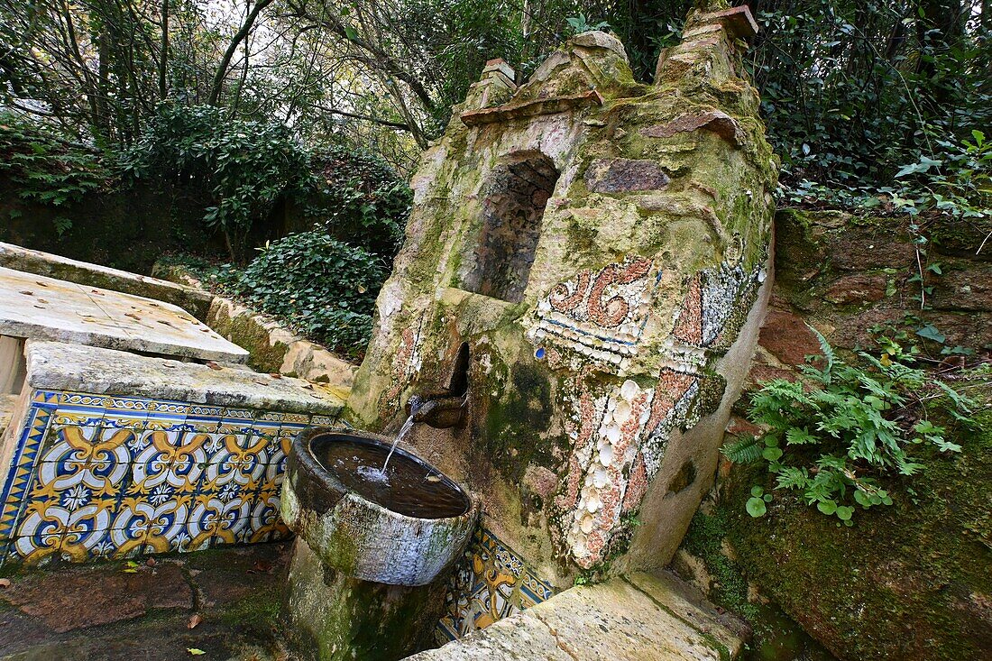 Brunnen im Klostergarten, Ehemaliges Kapuzinerkloster Convento dos Capuchos, Serra de Sintra, Gemeinde Colares, bei Sintra, Region Lissabon, Portugal