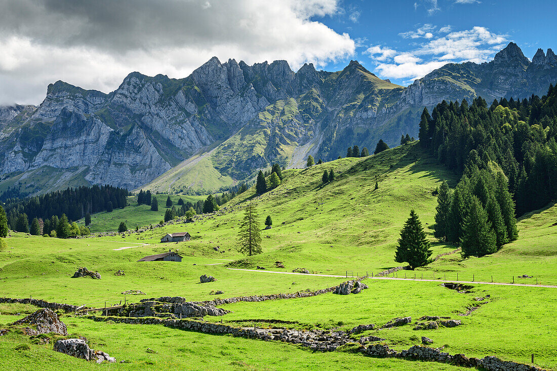  Alpine floor in front of the rock faces of the Säntis, Schwägalp, Alpstein, Appenzeller Alps, St. Gallen, Switzerland 