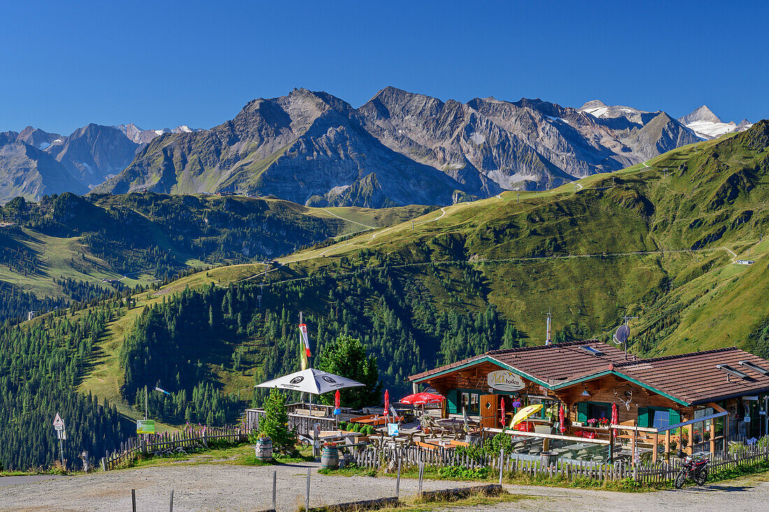 Ausflugsalm Melchboden, Zillertaler Alpen mit Olperer im Hintergrund, von der Zillertaler Höhenstraße, Tuxer Alpen, Zillertal, Tirol, Österreich