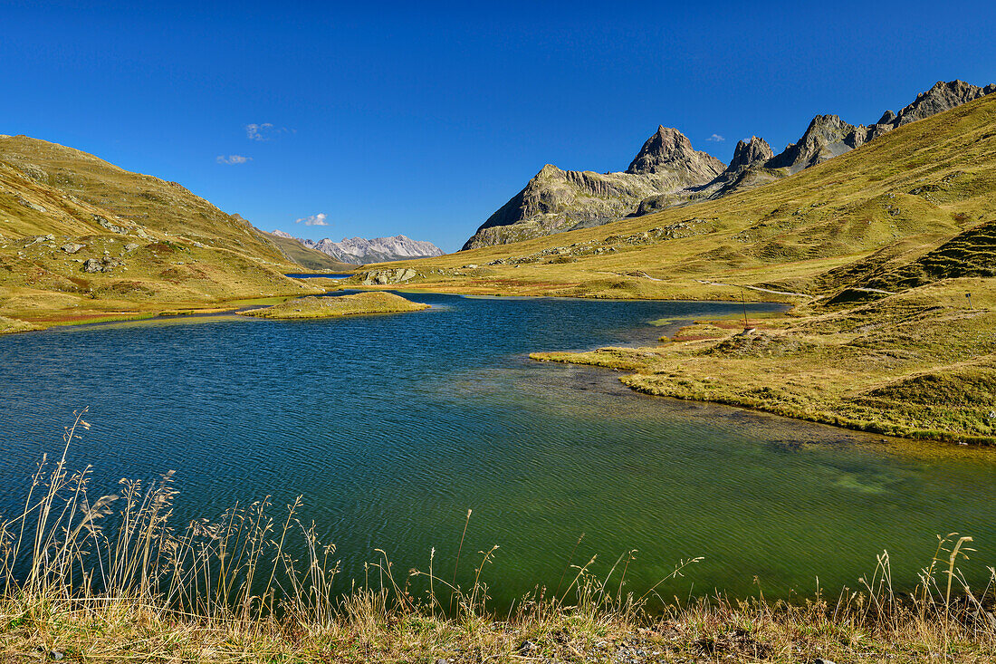 Scheidsee mit Blick auf Schönverwallkopf, Mitterspitz, Vollandspitze und Fasulzwillinge, Scheidsee, Silvretta, Vorarlberg, Österreich