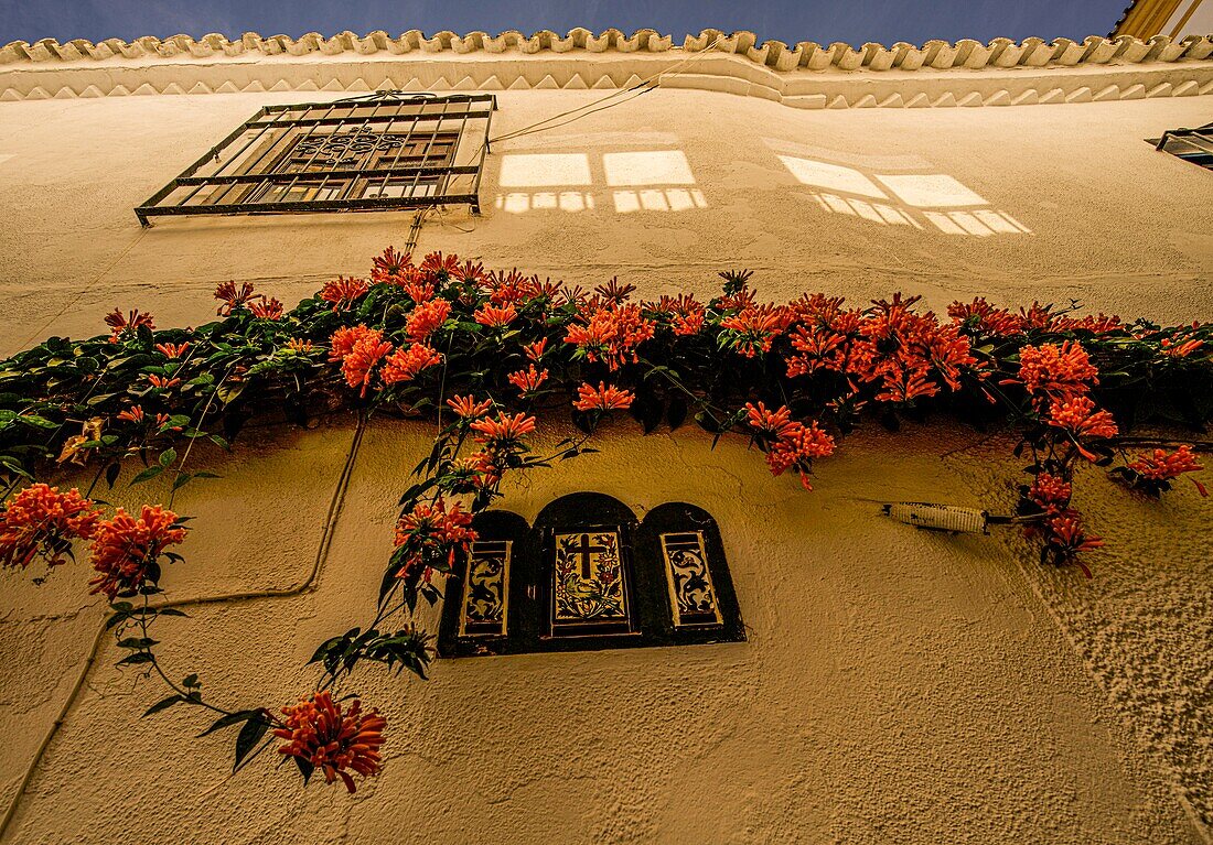  House decorated with flowers in the old town of Marbella, Costa del Sol, Andalusia, Spain 