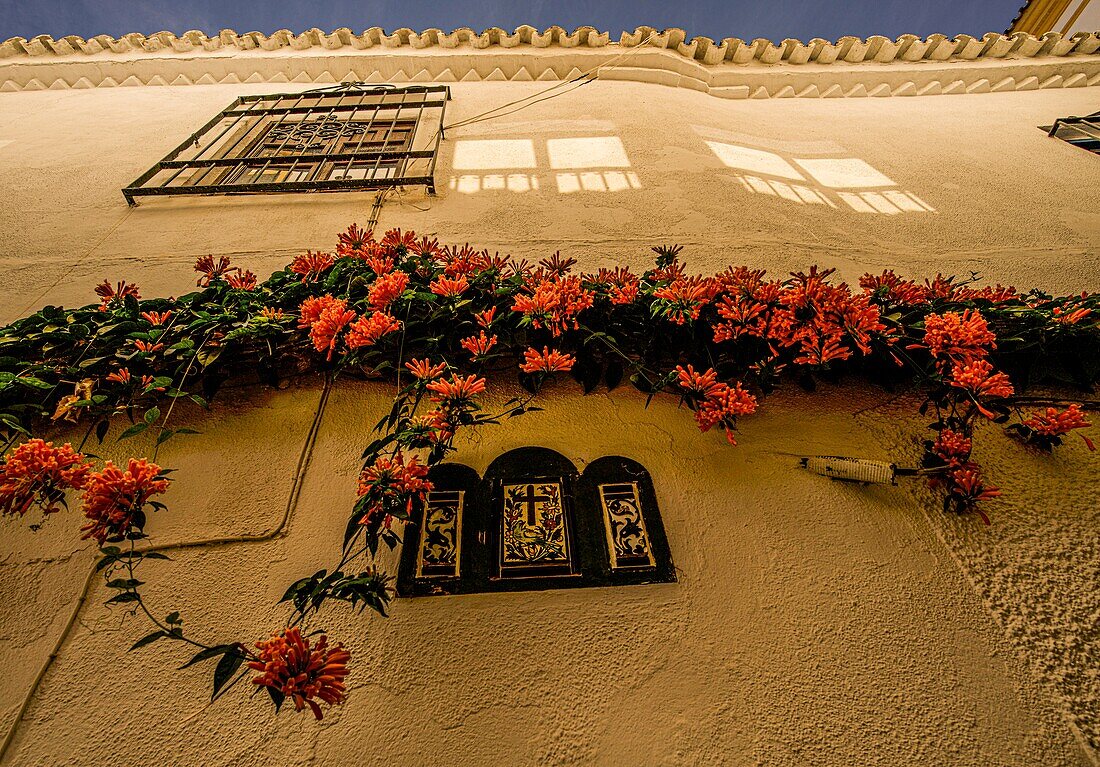 Mit Blumen geschmücktes Haus in der Altstadt von Marbella, Costa del Sol, Andalusien, Spanien