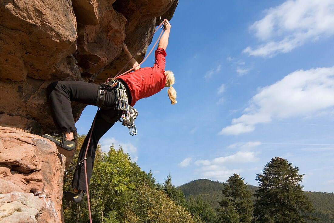  Young woman climbing on Langenfels in Lembach, Alsace, Grand Est, France 