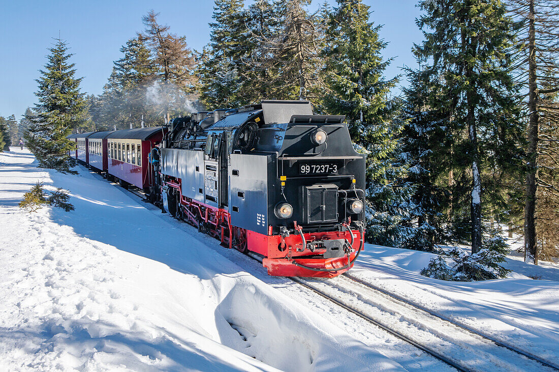 Die Brockenbahn unterhalb des Brockengipfels, Schierke (Wernigerode), Sachsen-Anhalt, Deutschland