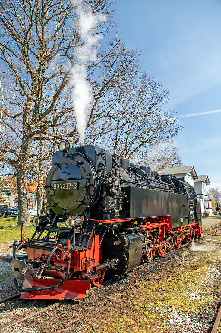 Die Selketalbahn im Bahnhof Hasselfelde, Harz, Sachsen-Anhalt, Deutschland