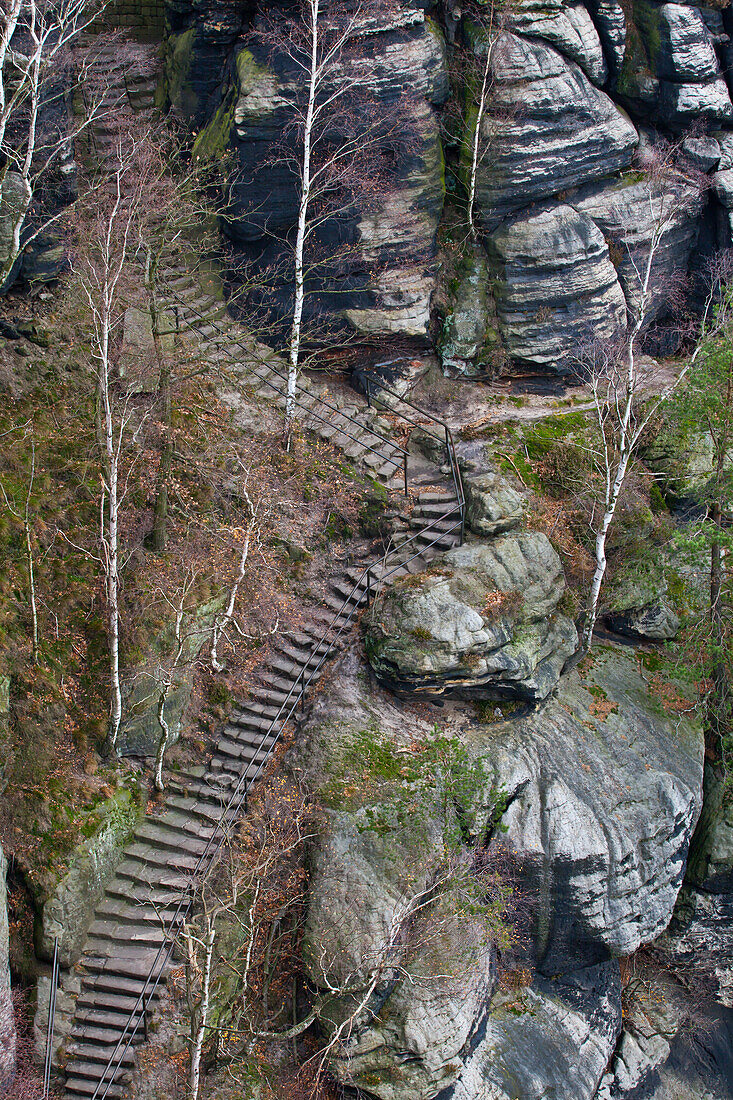 Wanderweg am Lilienstein, Südabstieg, Sächsische Schweiz, Elbsandsteingebirge, Sachsen, Deutschland