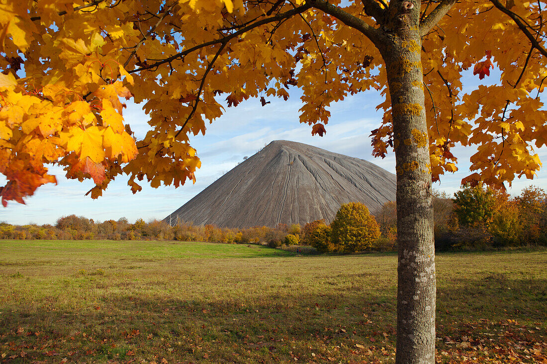  “Hohe Linde” dump, Sangerhausen, Saxony-Anhalt, Germany 