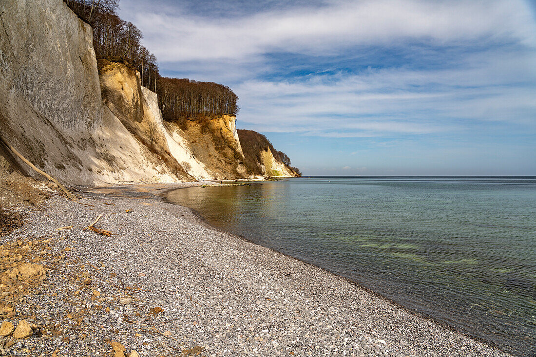  Beach and chalk cliffs on the Baltic Sea coast in Jasmund National Park, Ruegen Island, Mecklenburg-Western Pomerania, Germany   