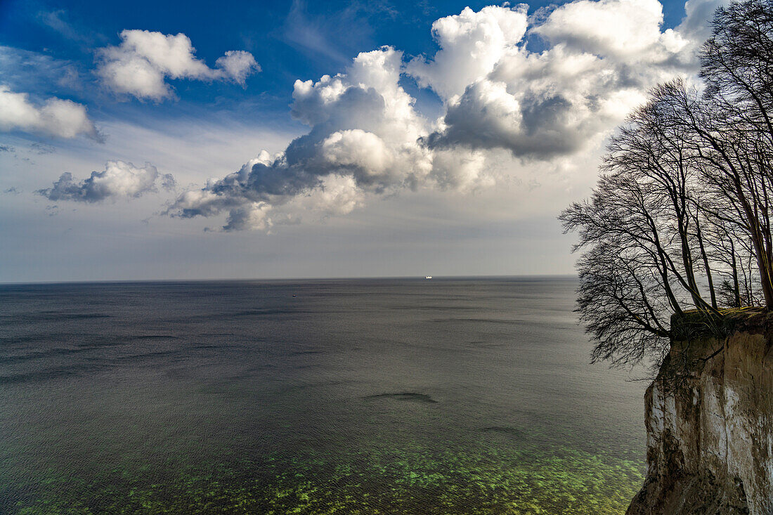  The famous chalk cliffs on the Baltic Sea coast in the Jasmund National Park, Ruegen Island, Mecklenburg-Western Pomerania, Germany   