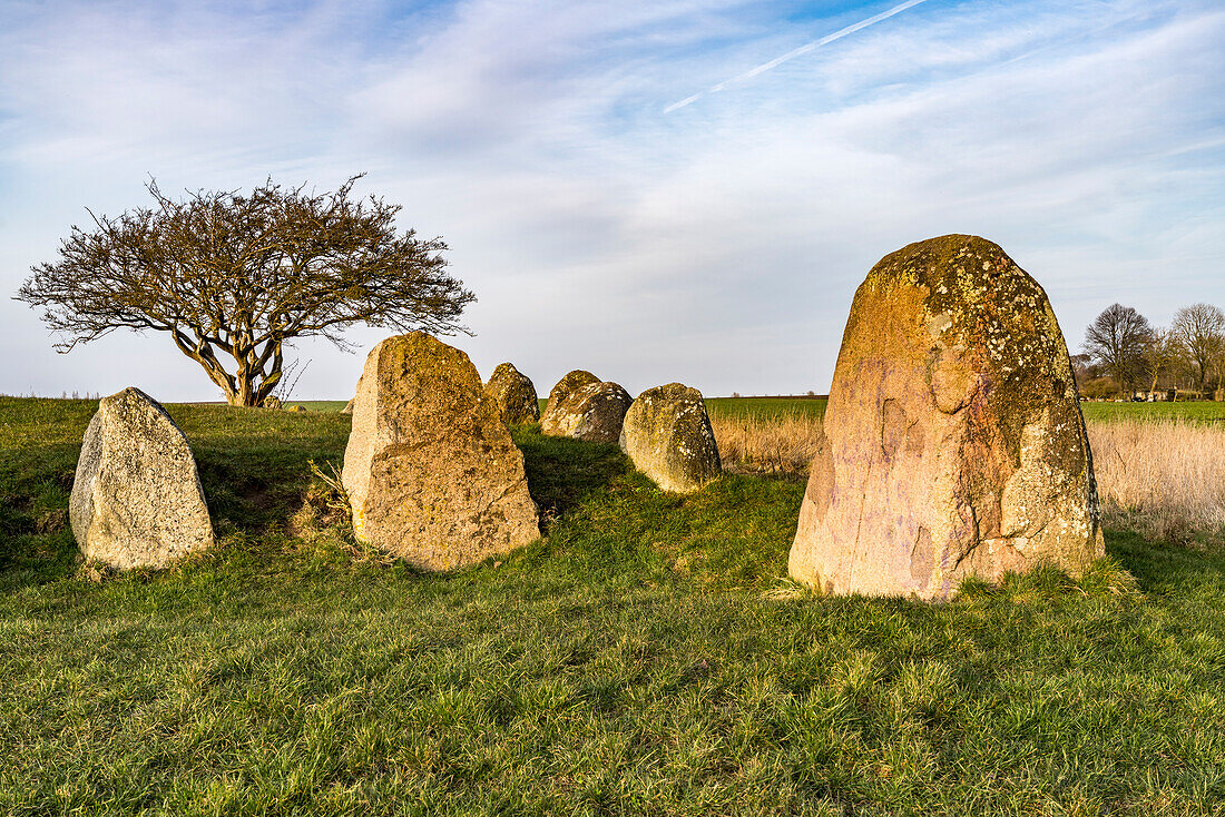  The megalithic tomb Nobbin, Putgarten, Ruegen Island, Mecklenburg-Western Pomerania, Germany   