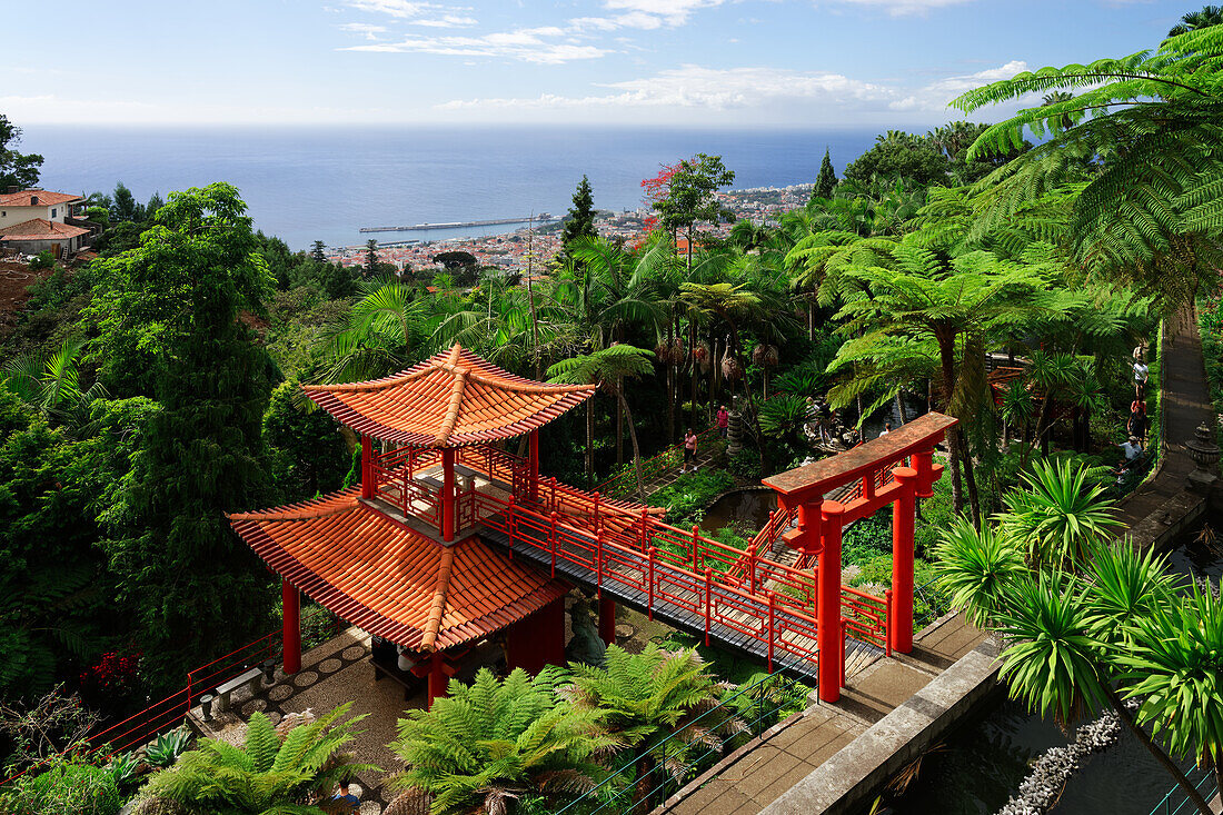Botanischer Garten in Funchal, Madeira, Portugal.
