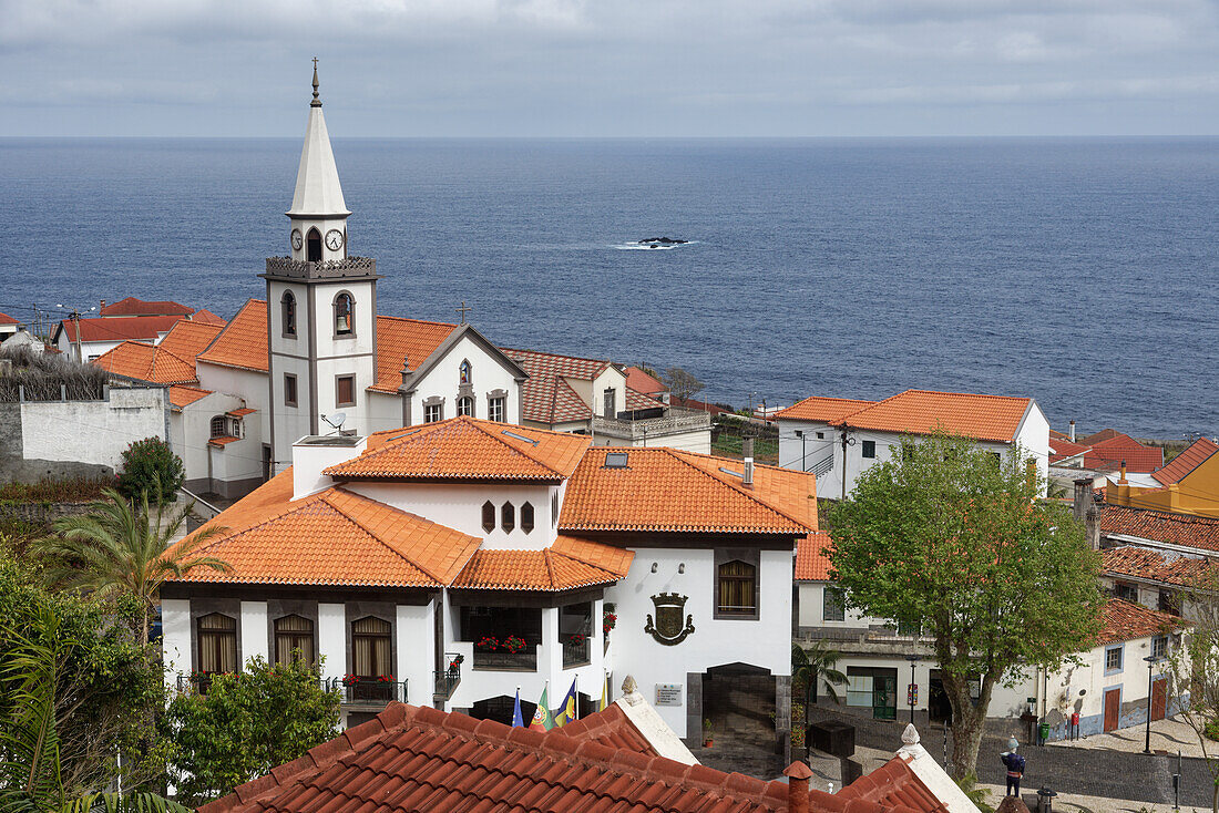 Porto Moniz, Madeira, Portugal.