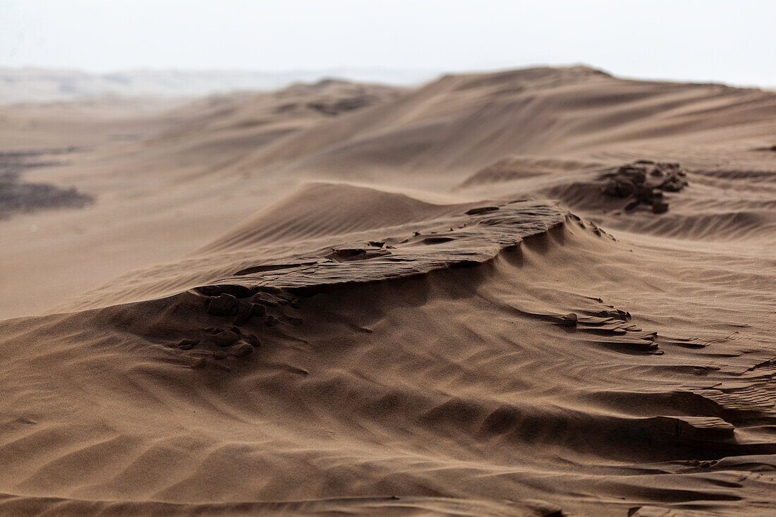 Afrika, Marokko, Plage blanche, der weiße Strand, Dünenlandschaft am Atlantik