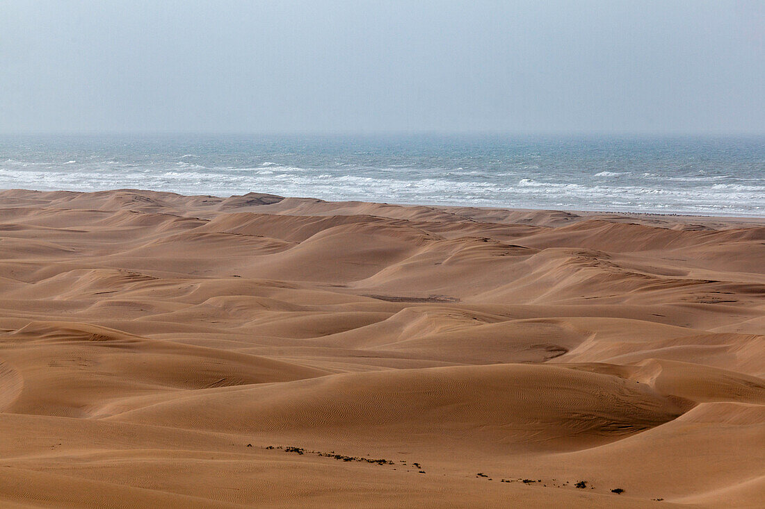  Africa, Morocco, Plage blanche, the white beach, dune landscape on the Atlantic 