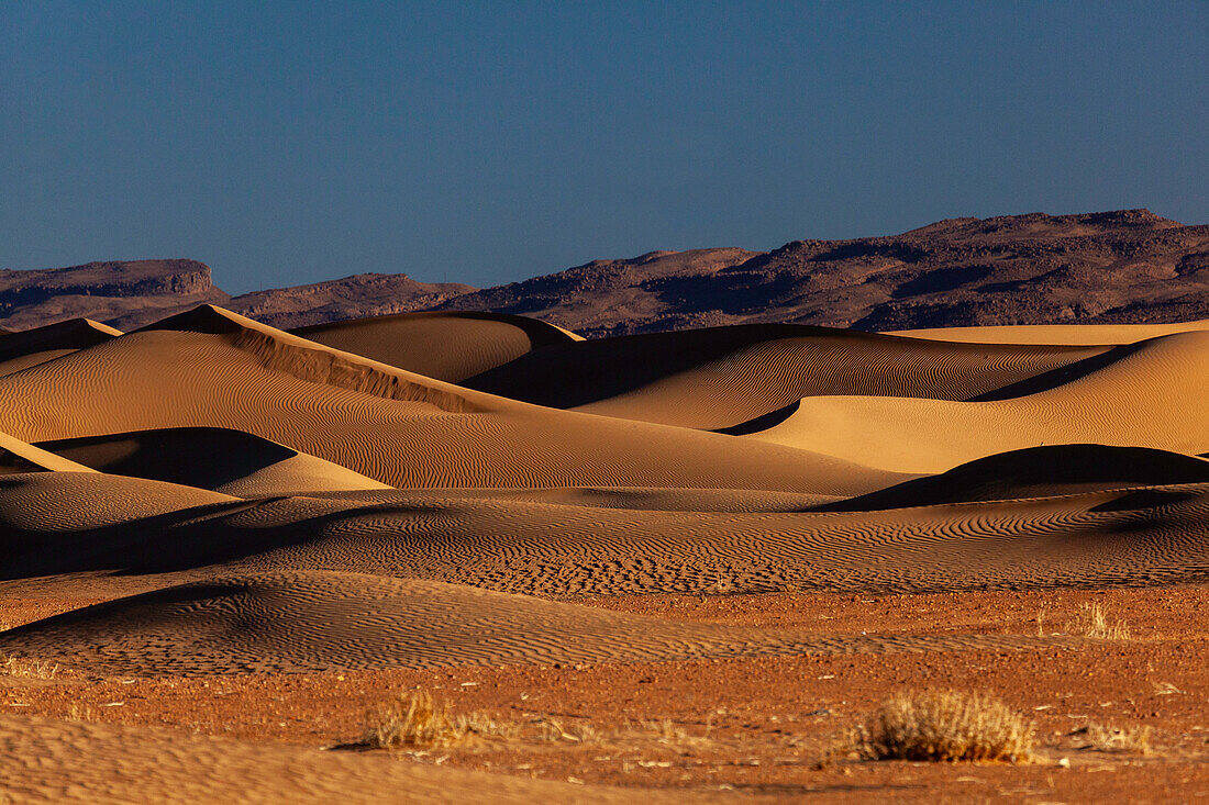  Africa, Morocco, Zagora, Sahara, Erg Lehoudi, sand dunes in front of rocky hills 