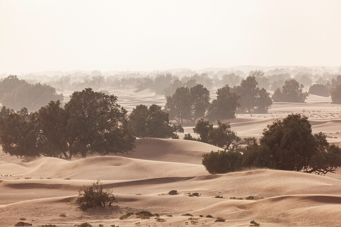 Afrika, Marokko, Zagora, Sahara, Erg Lehoudi, Sandsturm