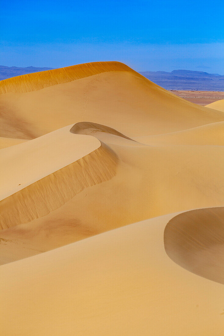  Africa, Morocco, Zagora, Sahara, Erg Lehoudi, sand dunes 