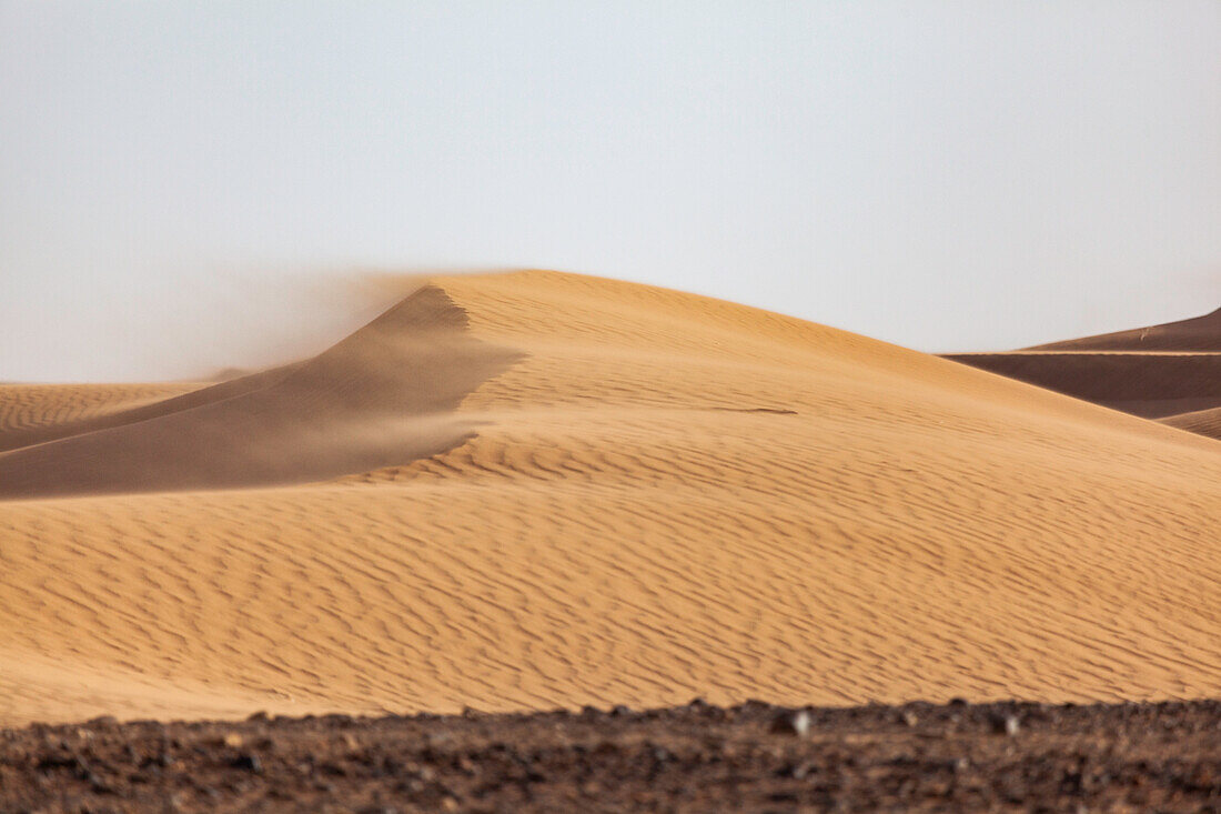  Africa, Morocco, Zagora, Sahara, Erg Lehoudi, sand dunes in the wind 
