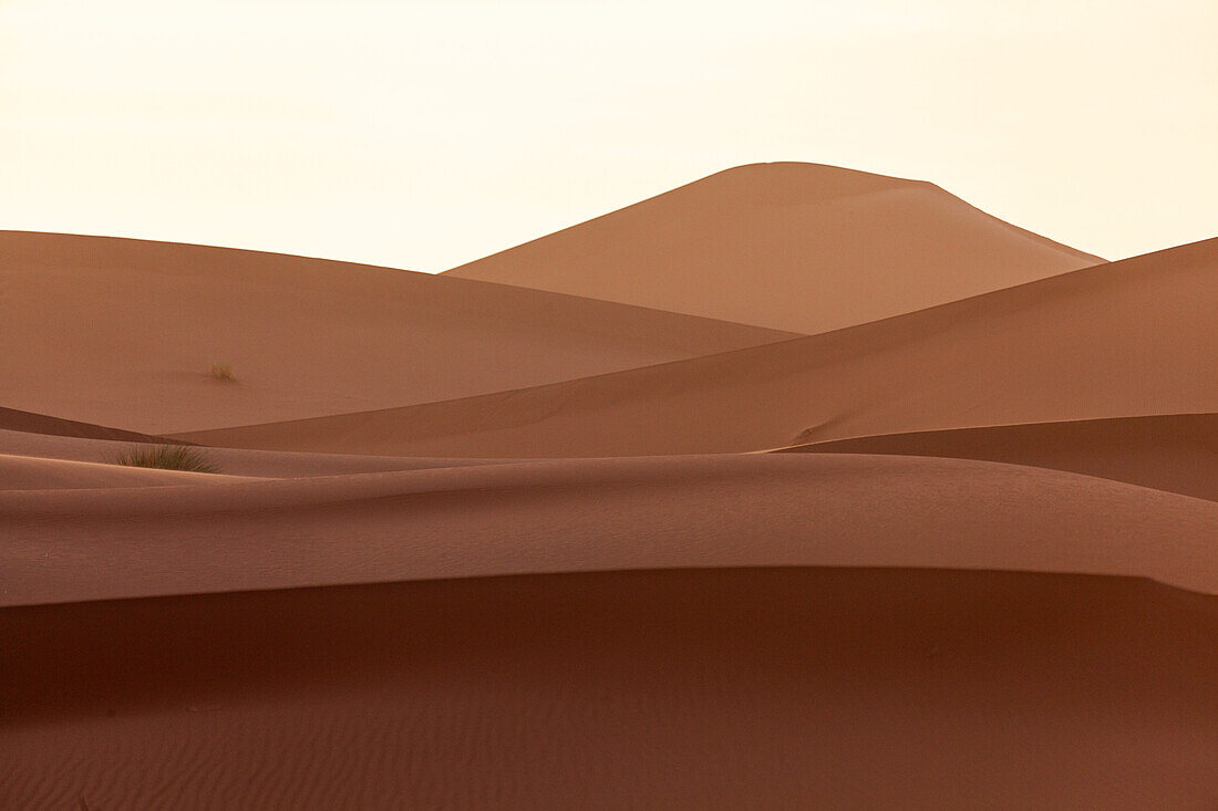  Africa, Morocco, Zagora, Sahara, Erg Lehoudi, sand dunes 