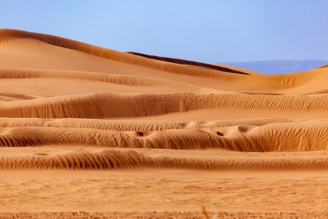  Africa, Morocco, Zagora, Sahara, Erg Lehoudi,  