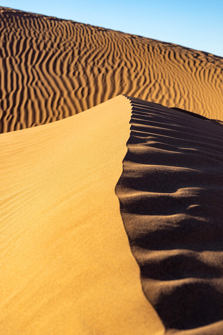 Afrika, Marokko, Zagora, Sahara, Erg Lehoudi, Dünenkamm