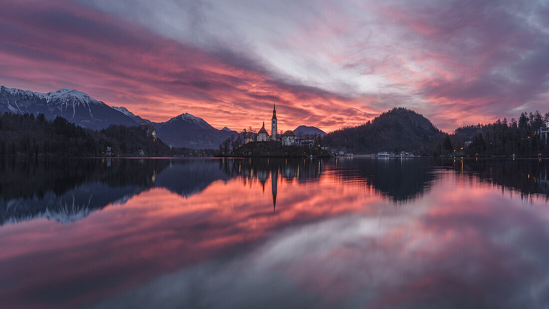 Lila Wolken kurz vor Sonnenaufgang am Bleder See mit Blick auf die Marienkirche in Bled, Slowenien, Europa.