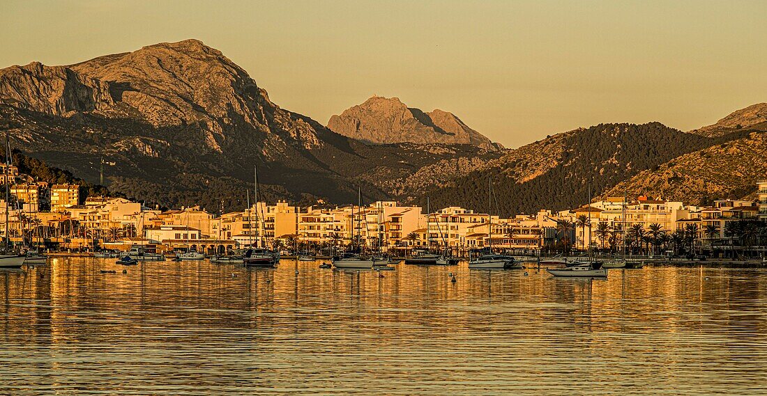 Port de Pollenca und das Tramuntana-Gebirge im Morgenlicht, Port de Pollenca, Mallorca, Spanien