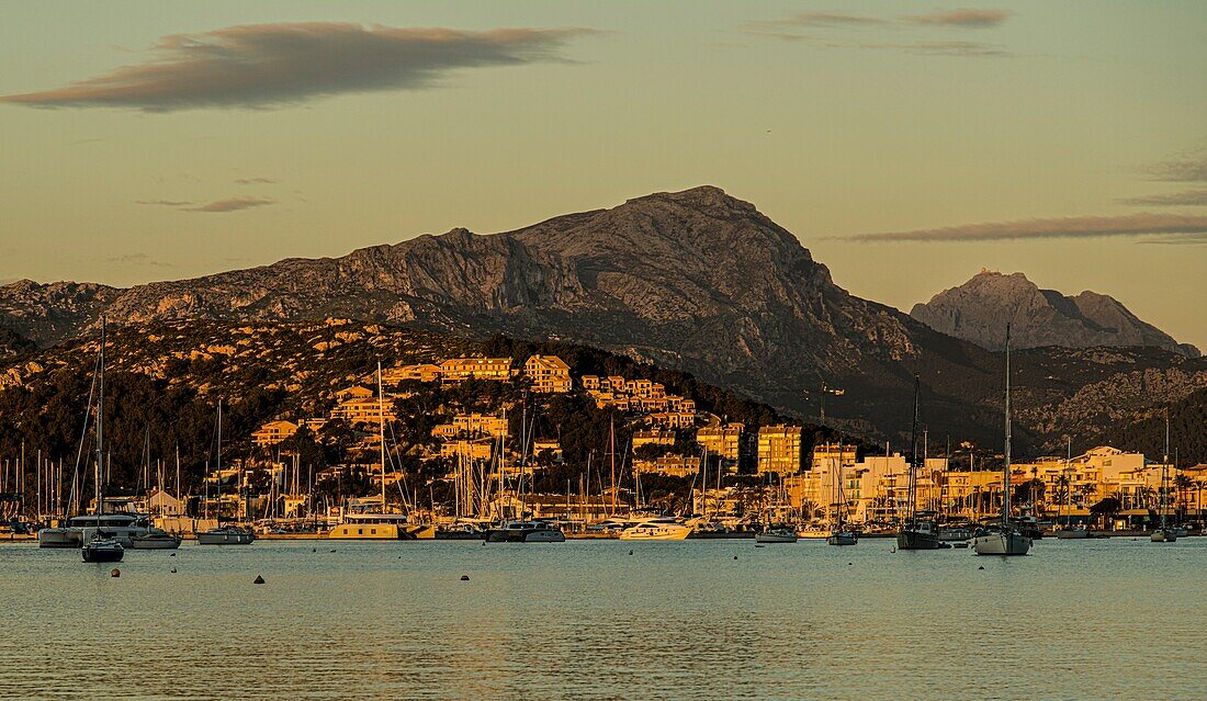 Port de Pollenca und das Tramuntana-Gebirge im Morgenlicht, Port de Pollenca, Mallorca, Spanien