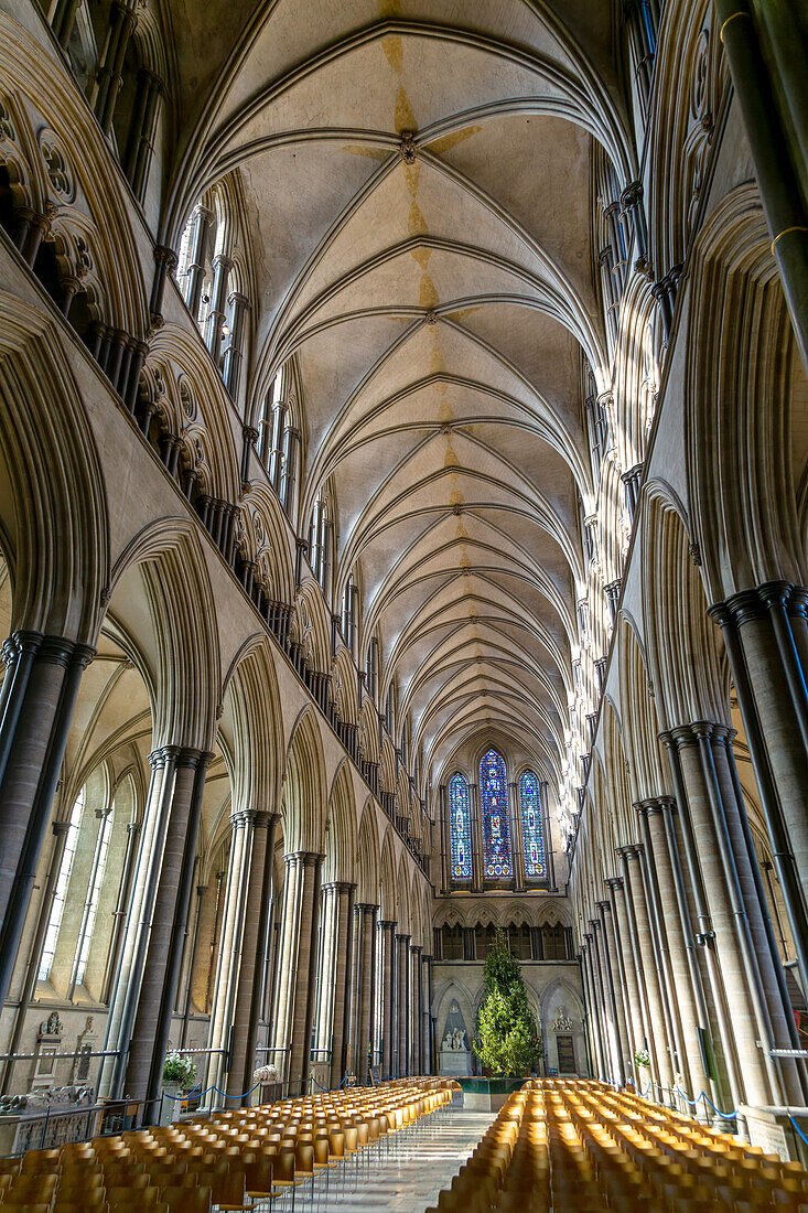 Vaulted nave ceiling roof inside cathedral church, Salisbury, Wiltshire, England, UK