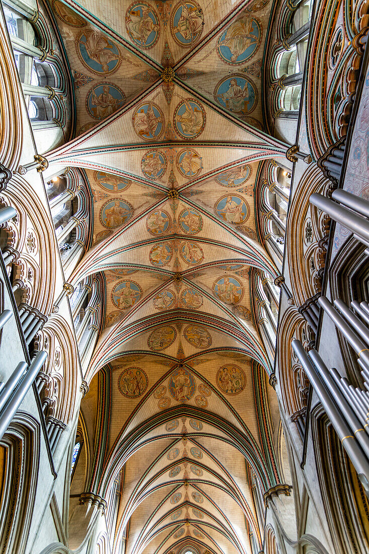 Gewölbte Decke im Inneren der Kathedrale, Salisbury, Wiltshire, England, Großbritannien