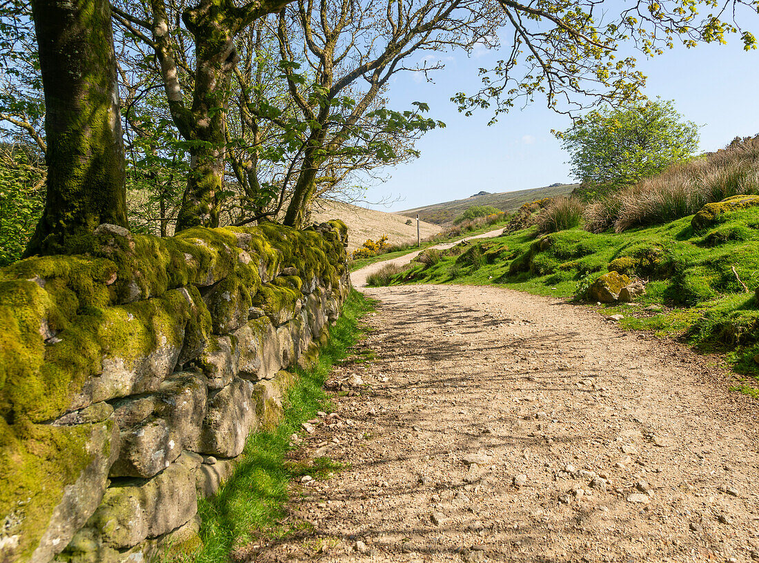 Walking route track West Dart valley walk, from near Two Bridges, Dartmoor, Devon, England, UK