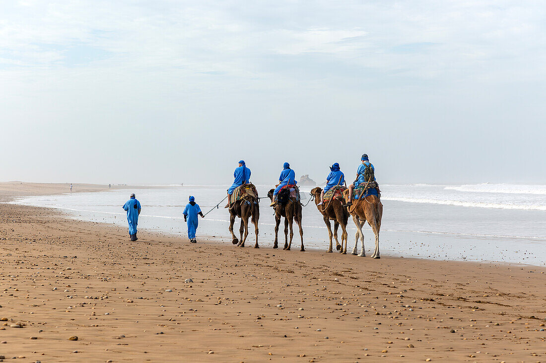Touristen reiten Kamele am Strand, gekleidet in blaue Beduinenroben, Essaouira, Marokko, Nordafrika