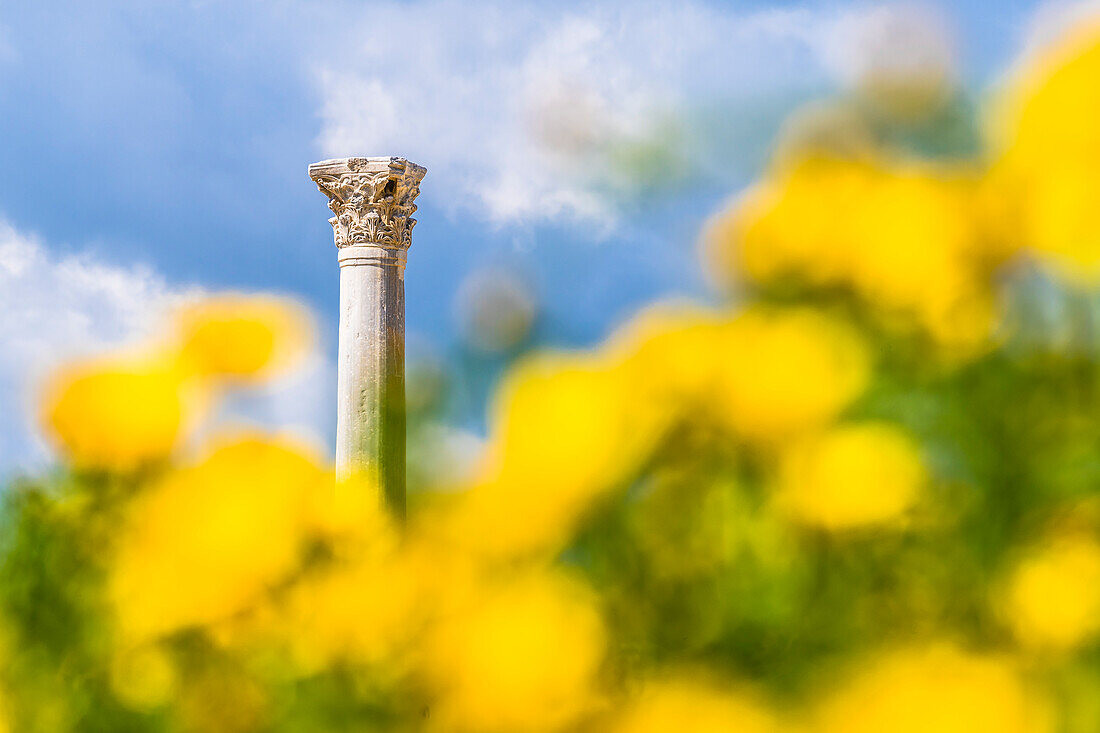 Ausgrabungsstätte, Archäologische Fundstätte, Kourion, Bezirk Akrotiri, Republik Zypern