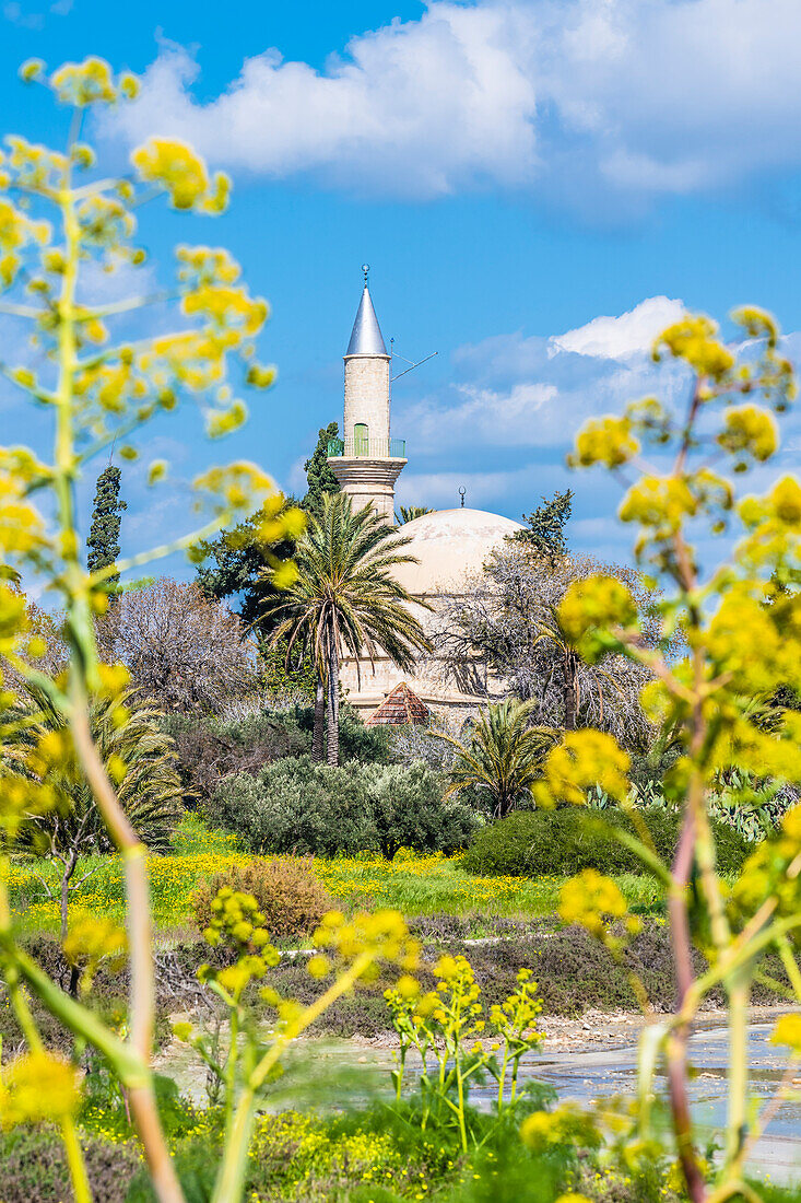  Hala Sultan Tekke Mosque, Larnaka, Larnaka District, Republic of Cyprus 