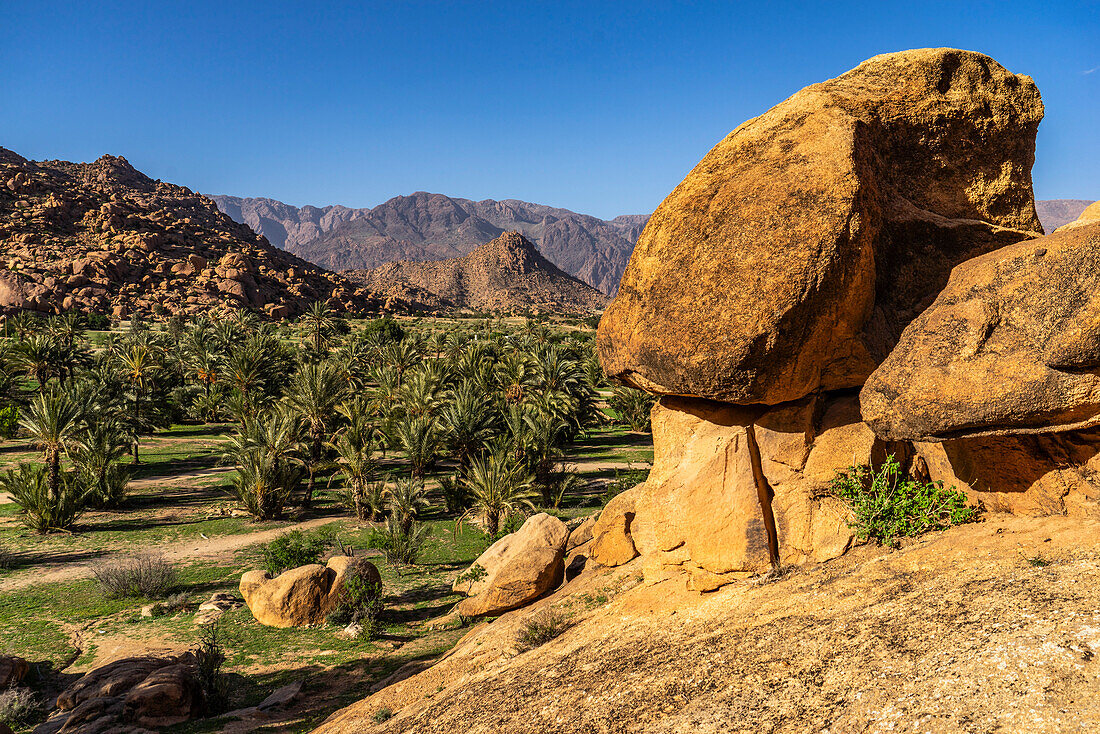  North Africa, Morocco, Tiznit Province, Tafraoute,\n 