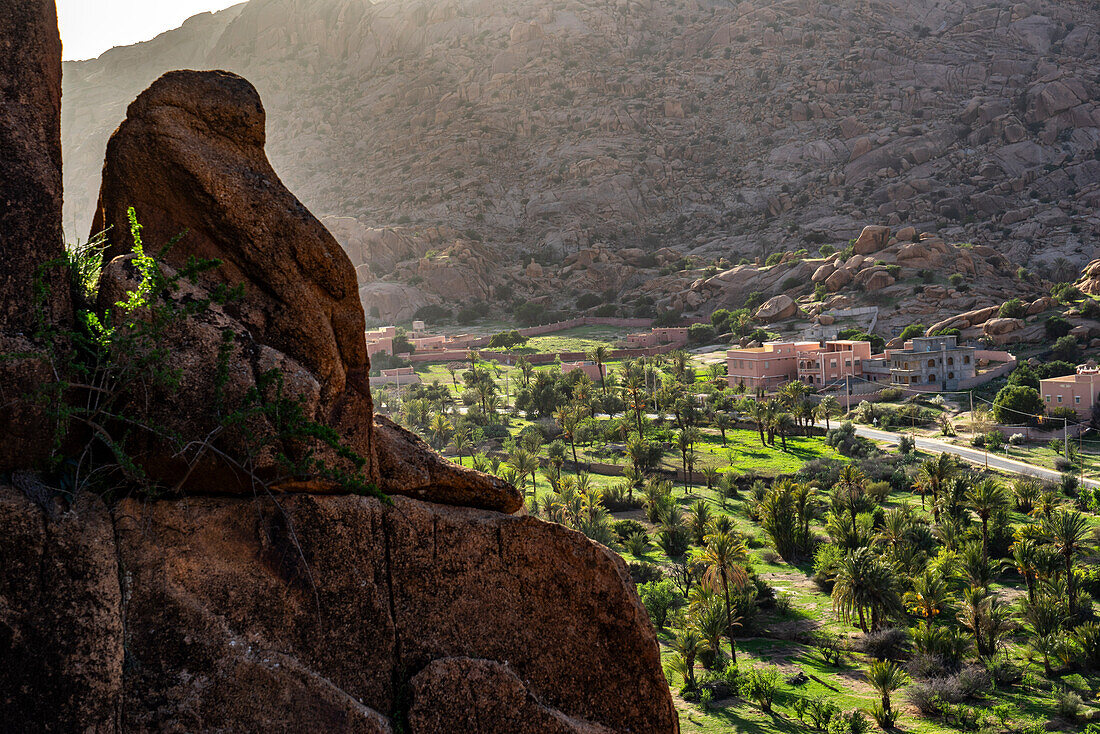  North Africa, Morocco, Tiznit Province, Tafraoute,\n 