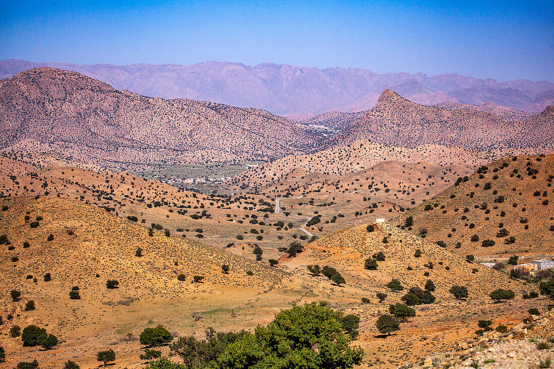  North Africa, Morocco, Tiznit Province, Tafraoute,\n 