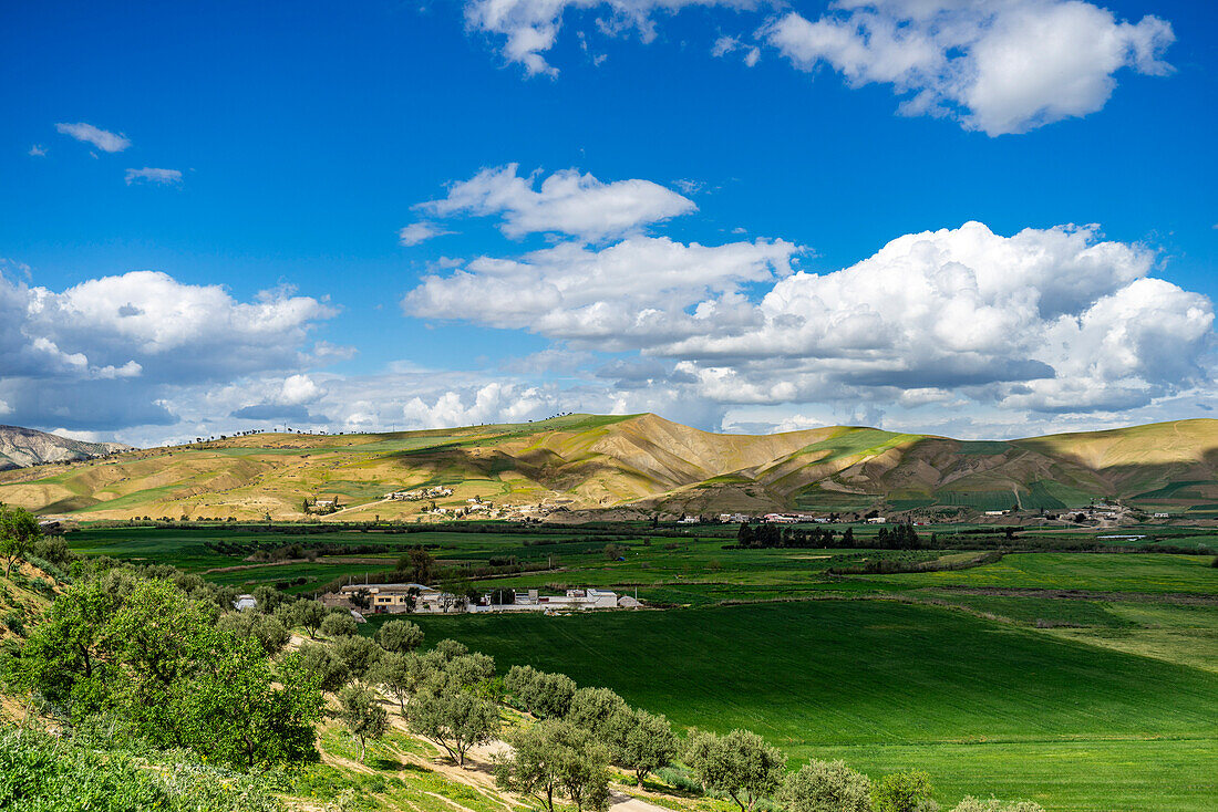  North Africa, Morocco, North, hilly landscape, agriculture, 