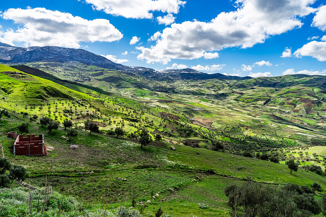  North Africa, Morocco, North, hilly landscape, agriculture, 