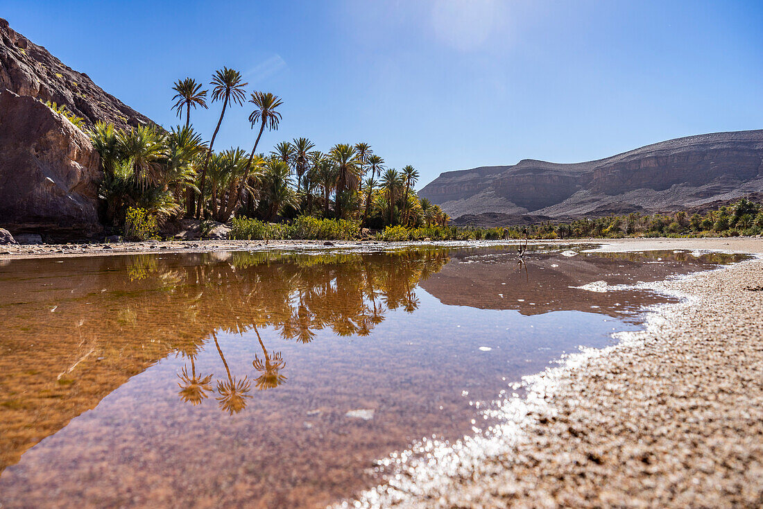 Nordafrika, Marokko, Ouarzazate, Oase Fint