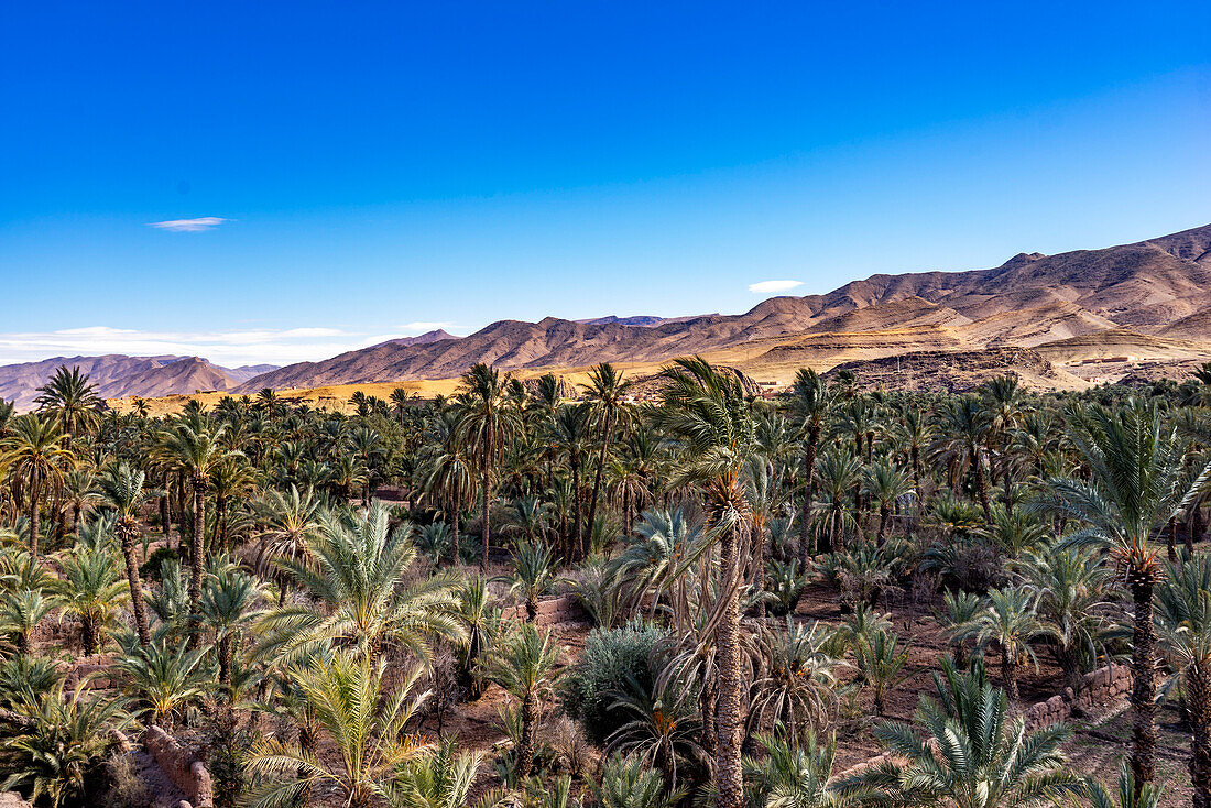  North Africa, Morocco, Draa Valley 