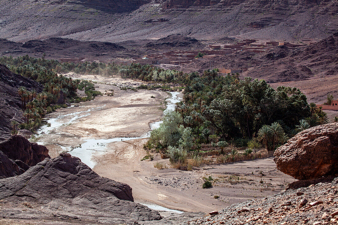  North Africa, Morocco, Ouarzazate Province, Fint Oasis, 