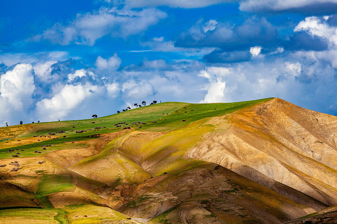  North Africa, Morocco, North, hilly landscape, agriculture, 