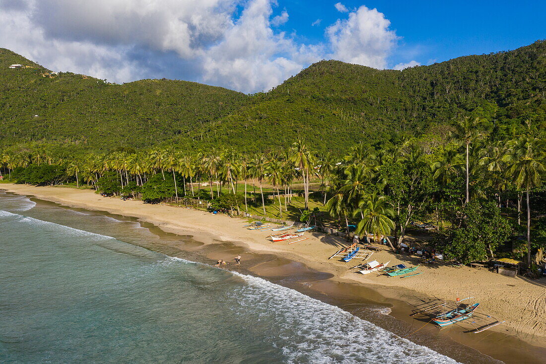 Luftaufnahme des Nagtabon Beach mit Kokospalmen, Bacungan, in der Nähe von Puerto Princesa, Palawan, Philippinen, Südostasien