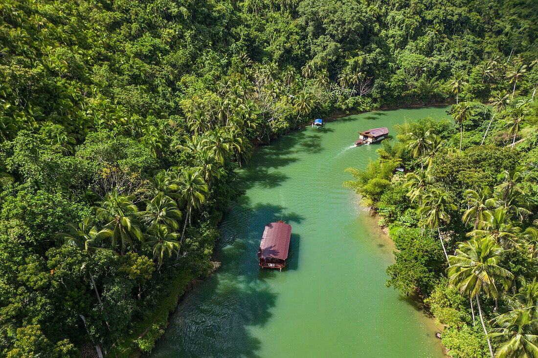  Aerial view of Loboc River and rainforest with tour boat, near Loboc, Bohol, Philippines 